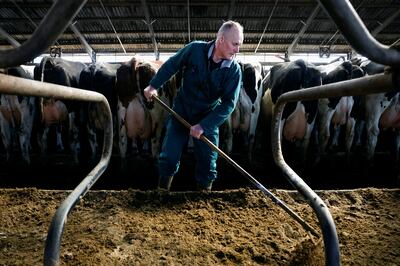 A dairy farm in the province of Friesland, Netherlands. Dutch farmers are worried about plans by the government to close some farms as part of measures to tackle emissions. Reuters 