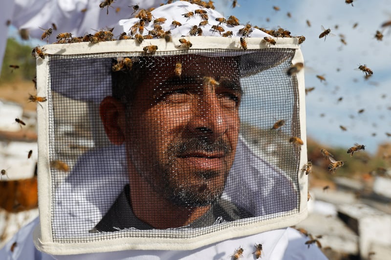 Bees gather on a Palestinian beekeeper in the Gaza Strip. Reuters