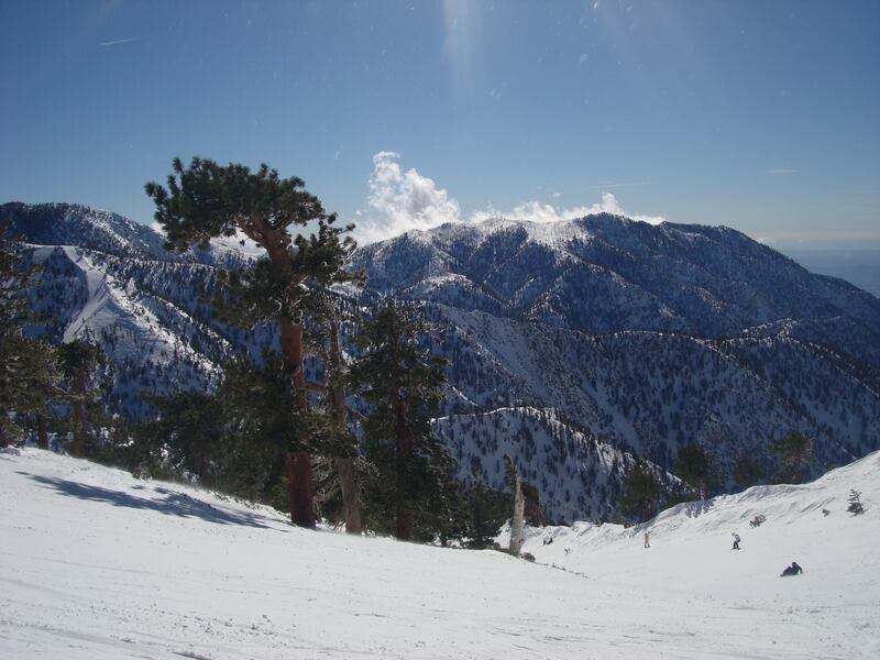 A winter scene on Mount Baldy. Photo: Public Domain
