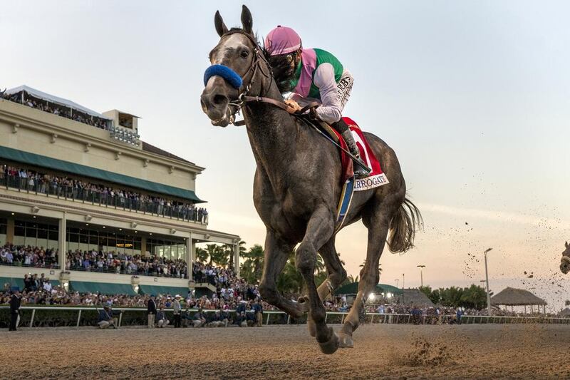 Arrogate os ridden by Mike Smith to win The Pegasus World Cup Invitational at Gulfstream Park Race Course on January 28, 2017 in Hallandale Beach, Florida. Alex Evers / Getty Images