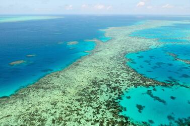 The Great Barrier Reef has suffered three mass bleaching events in the past five years because of rising ocean temperatures. AP