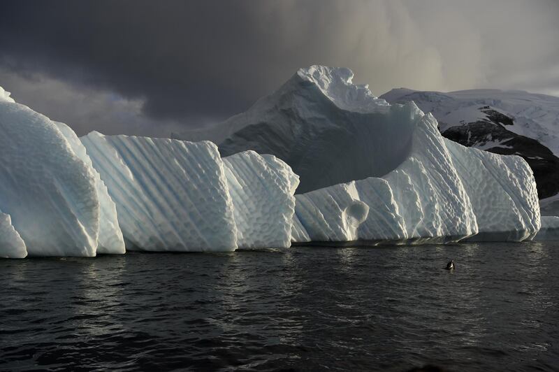 An iceberg is pictured in the western Antarctic peninsula, on March 04, 2016. - Like seals and whales, penguins eat krill, an inch-long shrimp-like crustacean that forms the basis of the Southern Ocean food chain. But penguin-watchers say the krill are getting scarcer in the western Antarctic peninsula, under threat from climate change and fishing. (Photo by EITAN ABRAMOVICH / AFP)