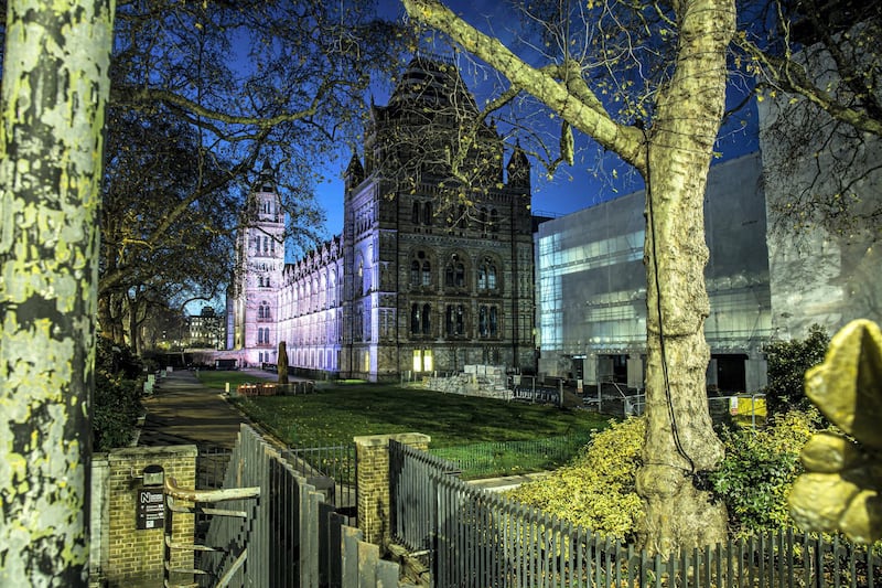 Locations in London during lockdown in the lead up to Christmas 2020. Natural History Museum