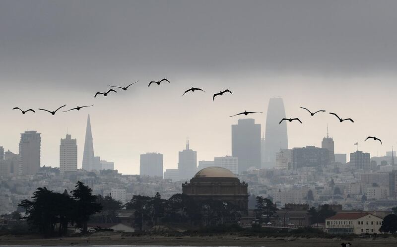 Brown pelicans fly in front of the San Francisco skyline in San Francisco, California. Francisco. AFP