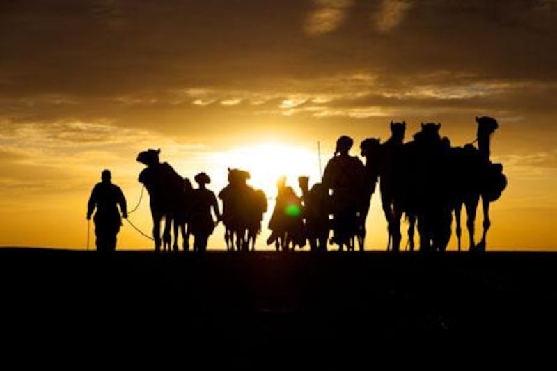 Sunset for our adventurers and their trusty camels. (Picture) Alexis Girardet.