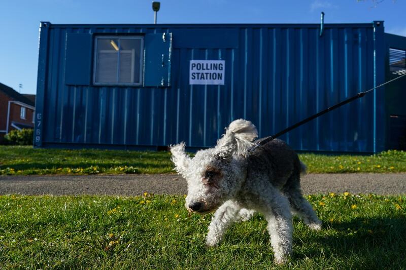 A dog stands outside a polling stations as voting begins for the Hartlepool by-election. Today voters in Hartlepool will decide between returning a Labour Party MP, who has held the seat since its creation in 1974, and the Conservative Party candidate. Getty Images