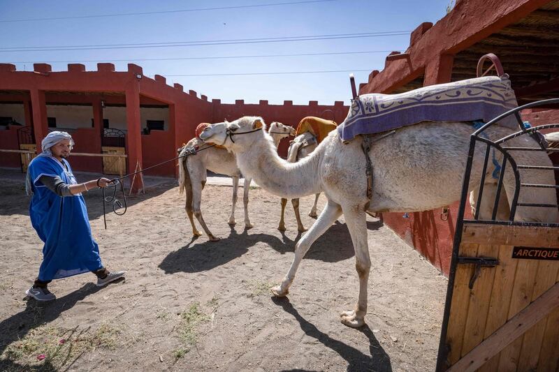 Morocco's dramatic sands and valleys traversed by camel herds have long provided stand-ins for big-budget films needing Middle East locations. AFP