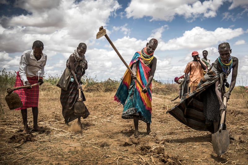 Members of the Turkana community plough a dry field as they prepare to grow sorghum near Lodwar, Kenya, in 2019. Save the Children says that 3.5 million people in Kenya are short of food this year. All photos:  AFP