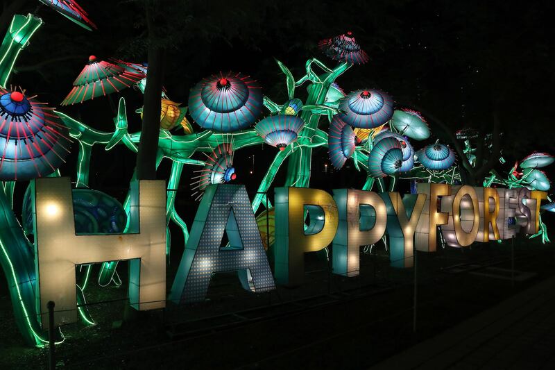 DUBAI, UNITED ARAB EMIRATES , October 14 – 2020 :- View of the colourful light figures at the Dubai Garden Glow season 6 which opened on 12th October at the Zabeel park in Dubai. No sitting allowed on the benches as a precautionary measure against the spread of coronavirus. Security at the entrance gate checks the body temperature of all the visitors. (Pawan Singh / The National) For Life Style/Online/Instagram/Big Picture. Story by Evelyn Lau