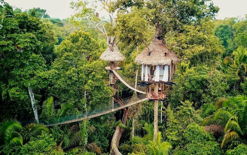 Treehouse Lodge in Peru