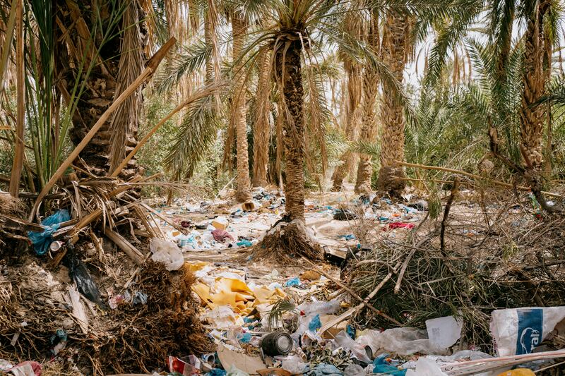 Date oases in the southern city of Tozeur used to have three layers of agriculture: vegetable crops close to the soil, citrus trees in the understory, and date palms towering over the rest. With the advent of monoculture for Diglet Nour dates, the palm groves are now choked with rubbish.