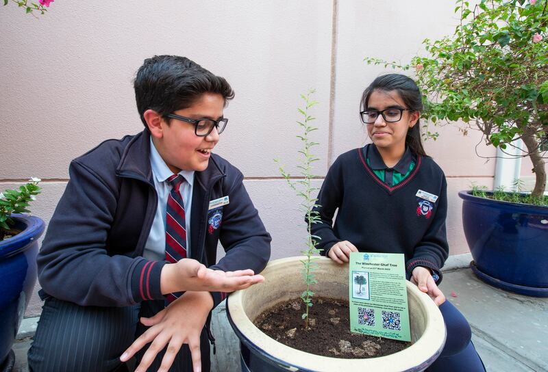 Siblings Mir Faraz, year 7 (L) and Mishal Faraz, year 10, with the newly planted ghaf tree at Winchester School Dubai. All photos: Ruel Pableo / The National