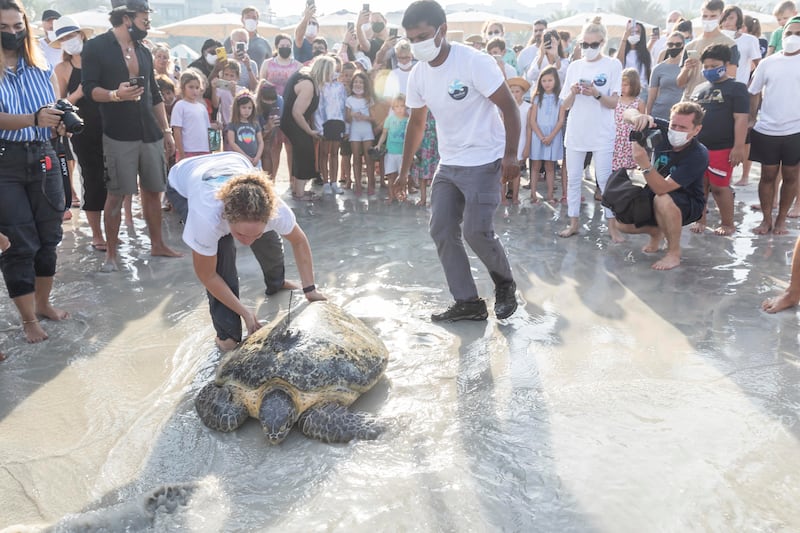 Over the years, the team have released 64 turtles into the wild.