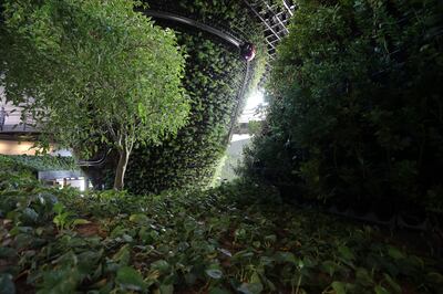 More than 80,000 plants cover the Singapore pavilion. 