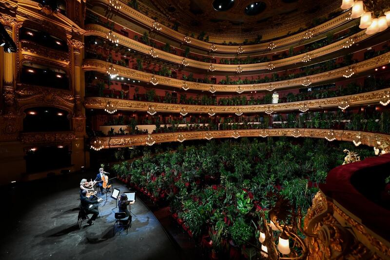 The Uceli Quartet perform for an audience made of plants during a concert created by Spanish artist Eugenio Ampudia and that will be later streamed to mark the reopening of the Liceu Grand Theatre in Barcelona on June 22, 2020 following a national lockdown to stop the spread of the novel coronavirus. (Photo by LLUIS GENE / AFP)