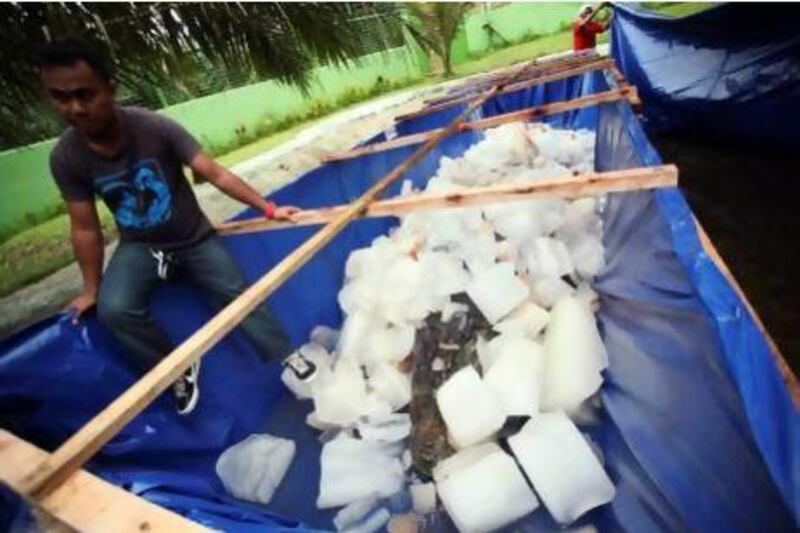 The remains of a 6.4-metre saltwater crocodile are covered with ice at a conservation park at Bunawan, Agusan del Sur, the southern Philippines.