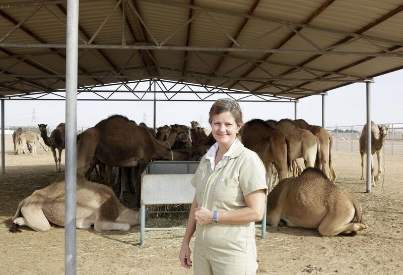 Dr Lulu Skidmore of the Camel Reproduction Centre seeks to lift the fertility rate of frozen embryos. Jeffrey E Biteng / The National
