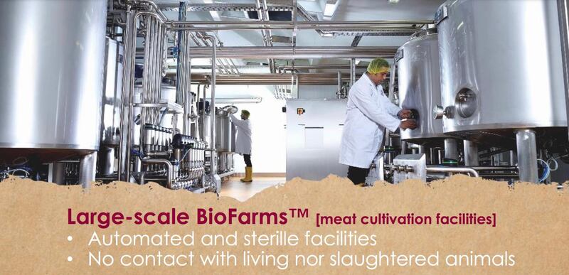 Aleph Farms are growing beef meat from cells in laboratories