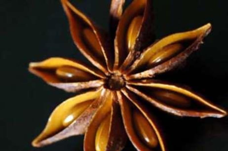 The star anise, which of all the household spices is perhaps the hardest working.