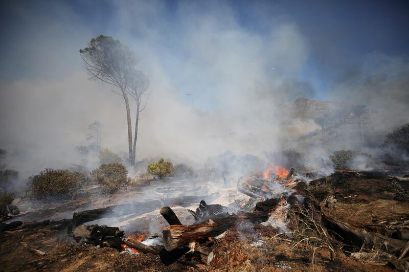 The destruction caused by the bushfire that broke out on the slopes of Table Mountain, in Cape Town, South Africa. Reuters