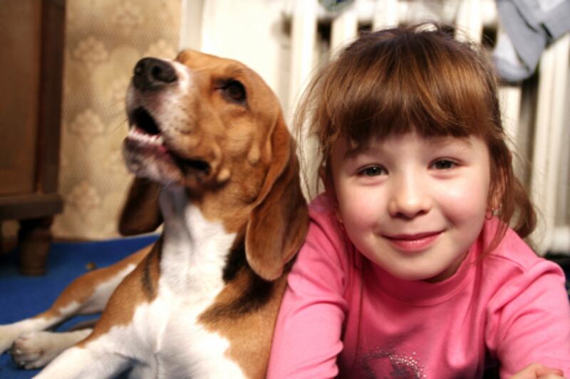 While fully involving your children in caring for a cat or dog at home is a good idea, be realistic about the impact this could have on your new pet.