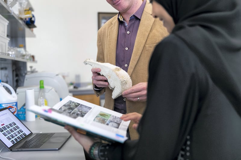 ABU DHABI, UNITED ARAB EMIRATES - JANUARY 31, 2019.

John A. Burt, Associate Professor of Biology, Center for Genomics and Systems Biology,
New York University Abu Dhabi, researched how corals are being damaged by high temperatures. The research's focus was about a "bleaching" event in 2017 when much of the coral in the southern Arabian Gulf was killed by prolonged exposure to warm water.

(Photo by Reem Mohammed/The National)

Reporter: Daniel Bardsley
Section:  NA