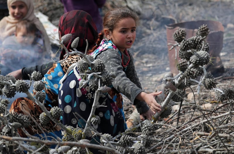 An internally displaced Syrian girl collects firewood for cooking, in Azaz, Syria. REUTERS