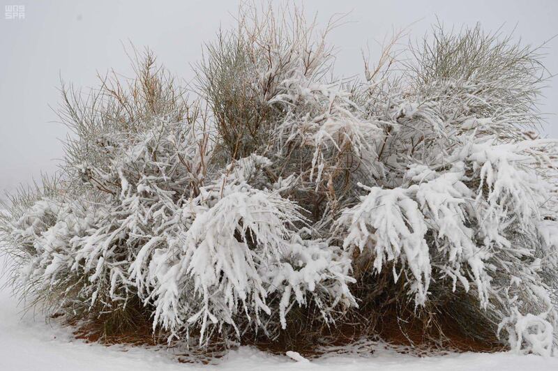 Snow in Tabuk, Saudi Arabia. SPA