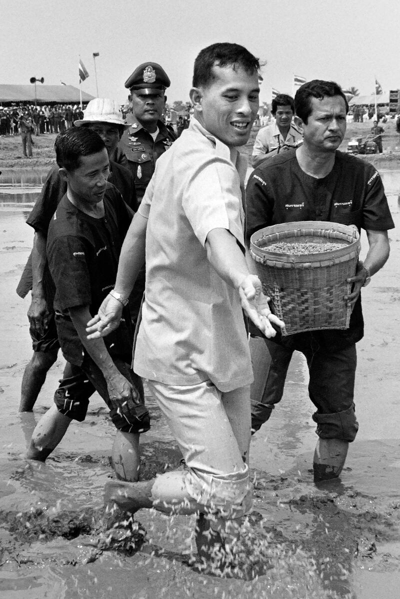 Thailand's Maha Vajiralongkorn sows rice seed in 1986.  AFP