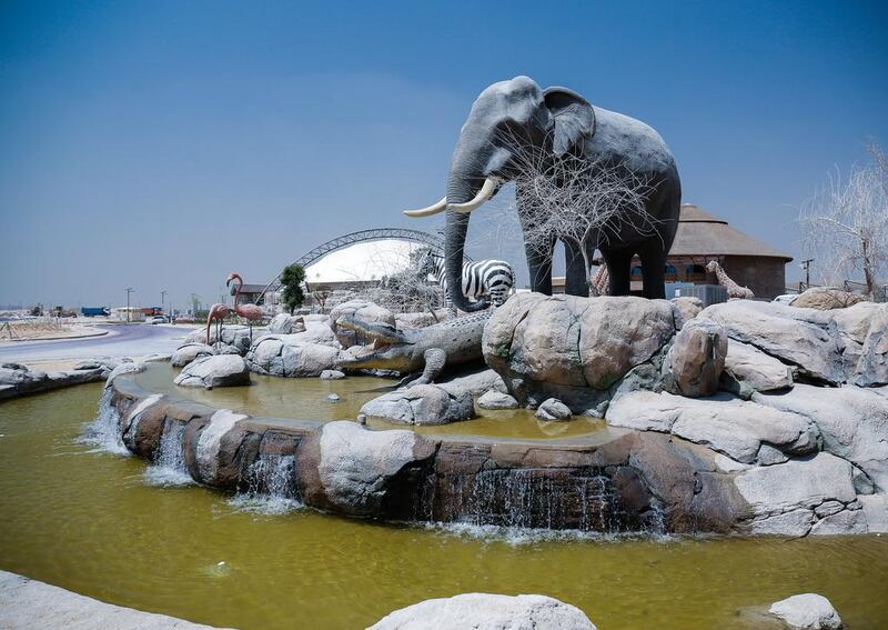 Desert elephants from Namibia were chosen for Dubai Safari Park as they are regarded as adaptable to the harsh UAE climate. Victor Besa for The National