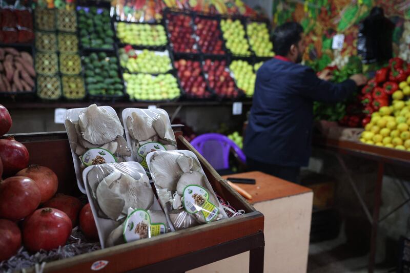 A Syrian vendor displays the mushrooms at his small shop in the town of Binnish in Syria's north-western Idlib province.