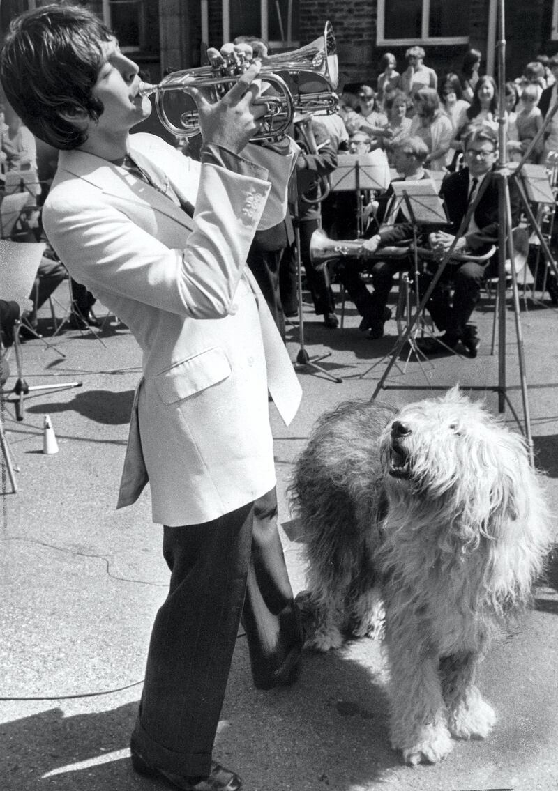 UNITED KINGDOM - DECEMBER 12:  Beatle McCartney is watched by his pet sheepdog Martha.  (Photo by SSPL/Getty Images)