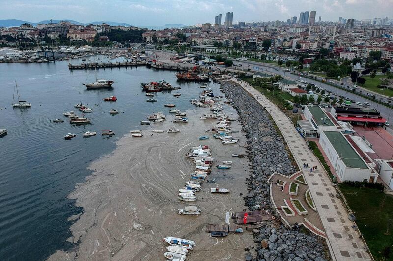 Untreated waste dumped into the Marmara Sea and climate change  caused the sea snot bloom, Turkish authorities said. AFP