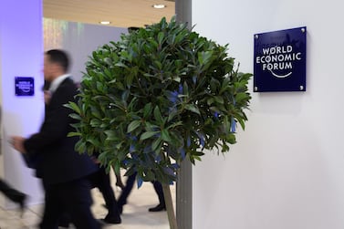 A tree installed as decoration is seen inside the Congress center, during the World Economic Forum (WEF) annual meeting in Davos, on January 21, 2020. AFP