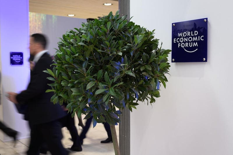 A tree installed as decoration is seen inside the Congress center, during the World Economic Forum (WEF) annual meeting in Davos, on January 21, 2020.


 It's a green policy that everyone can get behind. In Davos this year, leaders and tycoons, including the world's leading climate sceptic Donald Trump, offered to plant trees to help the planet. / AFP / Fabrice COFFRINI
