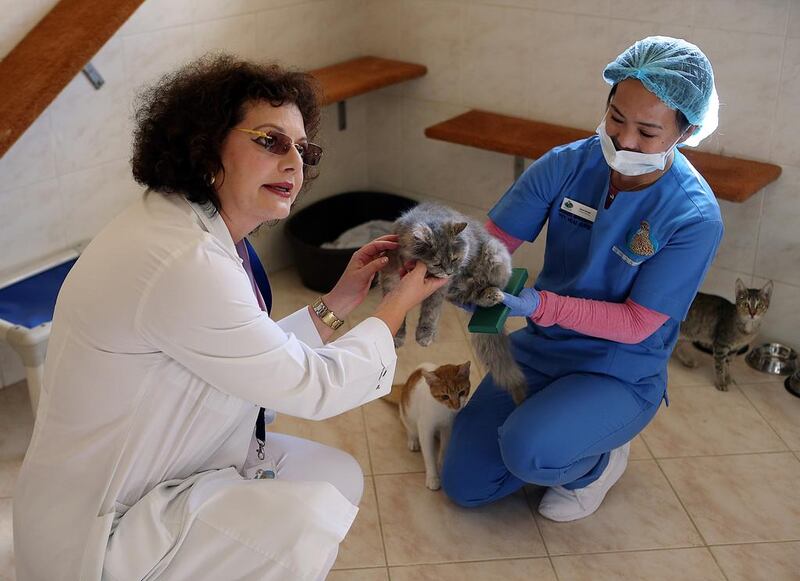 A reader commends the Falcon Hospital for its animal-welfare efforts. Satish Kumar / The National

