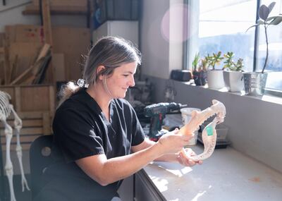 DUBAI, UNITED ARAB EMIRATES. 15 DECEMBER 2020. 
Corina Berners - Schultheis, head taxidermist at the Central Veterinary Research Laboratory in Nad Al Sheba.
(Photo: Reem Mohammed/The National)

Reporter:
Section: