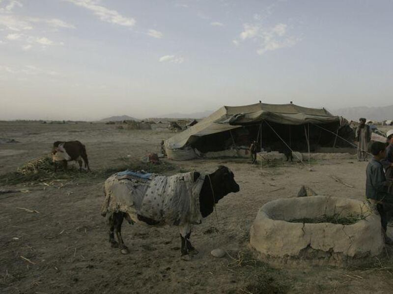 Although they are nomads, many of Afghanistan's Kuchis hold deeds to land on which they live for a short time each year.