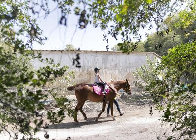 ABU DHABI, UNITED ARAB EMIRATES. 18 MARCH 2020.
Children riding horses in Al Samha with Ride to Rescue project.

Yasmin Sayyed runs Ride to Rescue. She has taken in 17 rescued horses who would normally be euthanized, and she tries to offset the cost of their care by offering the public healing sessions where they ride or walk with them. 

(Photo: Reem Mohammed/The National)

Reporter:
Section: