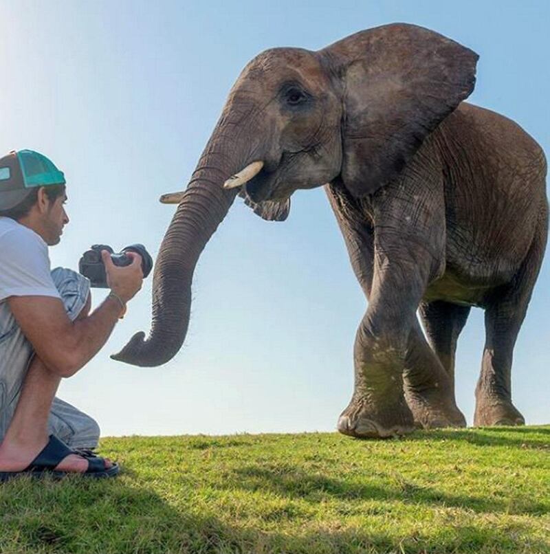 Animal photography is a passion of the Crown Prince, seen here photographing an elephant. Instagram / Faz3