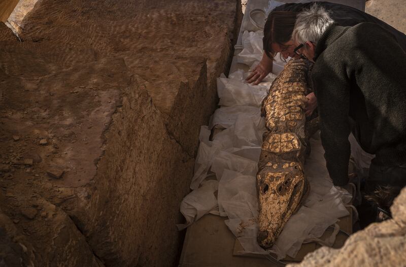 The crocodiles did not display any sign of physical injury, leading researchers to speculate they had been killed by drowning, suffocation or overheating in the hot Egyptian sun. Photo: Patricia Mora Riudavets
