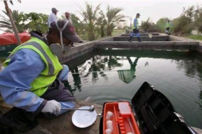 Workers from Eagle, environmental services & pest control, look for malaria mosquitos in the irrigation water of a farm in Al Bahia town. (Jaime Puebla / The National