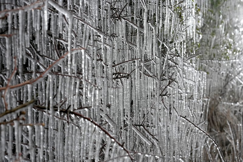 Hedgerow icicles in sub-zero temperatures in Macclesfield. Getty Images