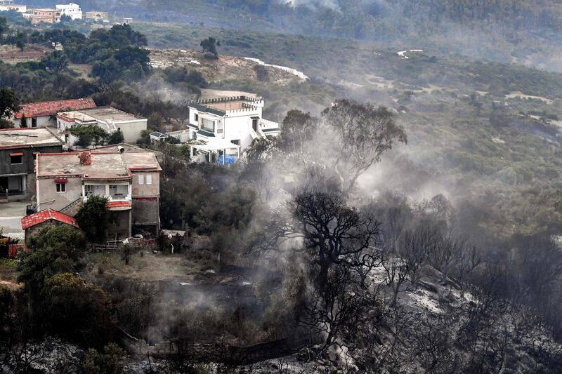 Burnt trees stand in the wake of a forest fire near the town of Melloula. AFP 
