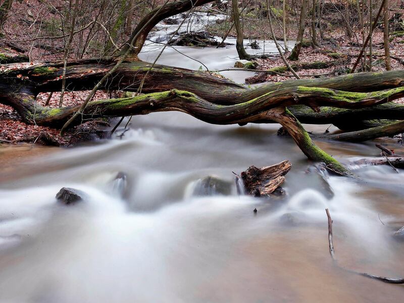 A creek swells from the melt water in the Taunus mountains near Frankfurt-am-Main, Germany. Michael Probst / AP Photo