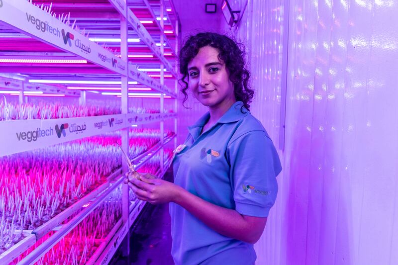 Inside the first saffron farm in the Middle East, at VeggiTech Farm in Sharjah. The quality manager, Ghazal Shafiee with a saffron bulb, that takes about nine to months before it can be harvested. Antonie Robertson / The National