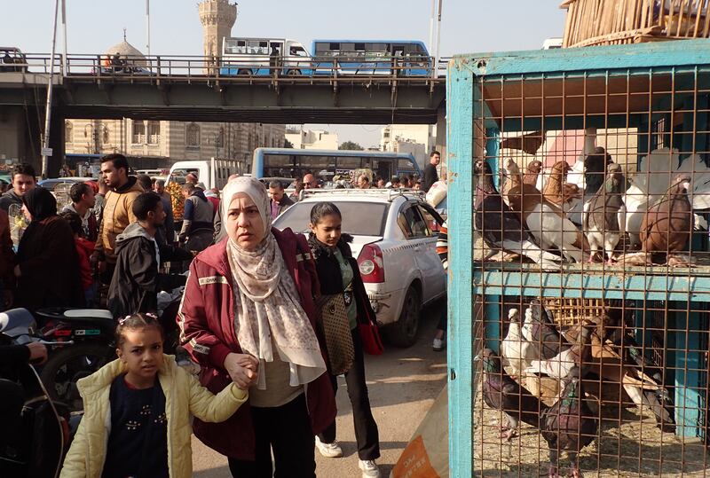 A food market in Cairo. A persistent shortage of foreign currency has caused delays in getting imports into Egypt. EPA