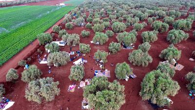 An aerial view shows displaced Syrians gathering in a field near a camp for displaced people in the village of Atme, in the jihadist-held northern Idlib province on May 8, 2019. - In the olive grove in Atme, dozens of families have spent the night on thin mattresses or blankets layed out over rugs on the red earth. At the base of the trees they have chosen for shelter, they have stored the bare minimum for a life outdoors: bedding, a water cooler, a saucepan, or a cooking gas canister. They have hung up sheets between the trees for a little privacy, and one family has even brought a solar panel. (Photo by Aaref WATAD / AFP)