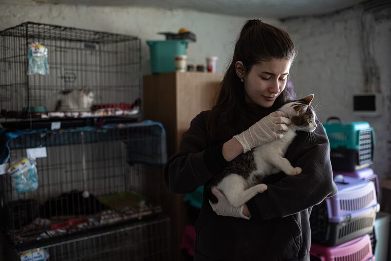 A volunteer pets a cat at a shelter in Lviv. Getty