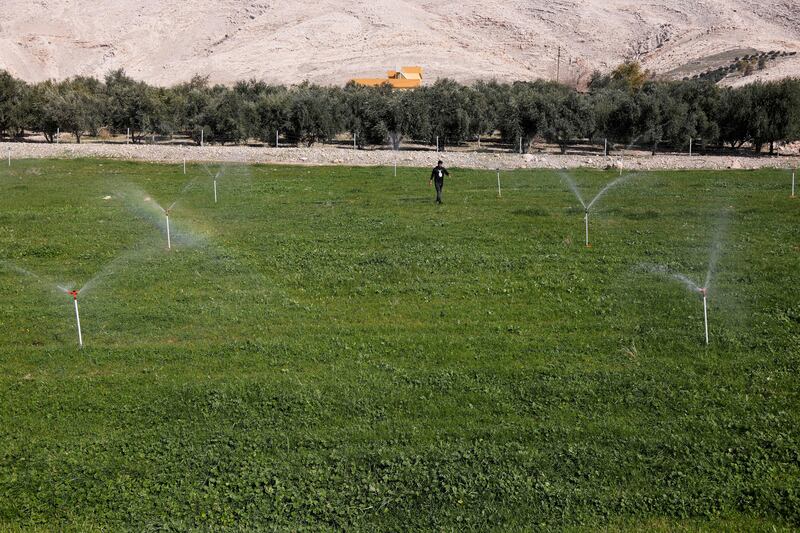 Water sprinklers on a farm that uses solar panels.